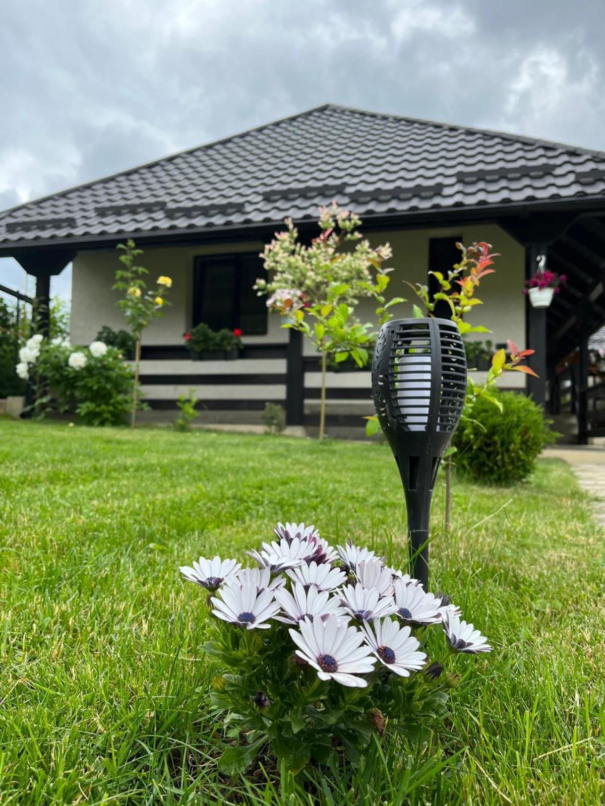 Ograda Bunicilor Gura Humorului Villa Bagian luar foto